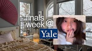 Video post by @mildredsauce on YouTube