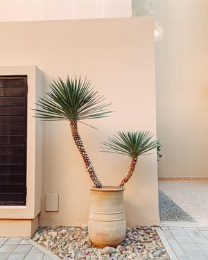Image post by @aureliehemar on Instagram