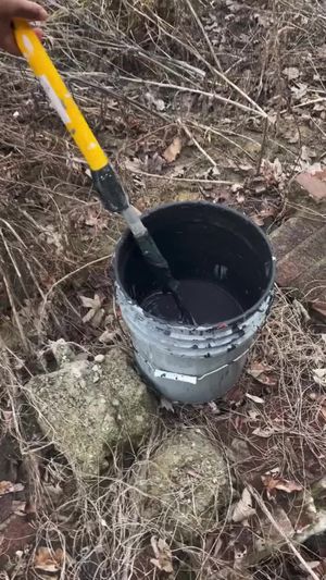Image post by @DetroitParksRec on Facebook