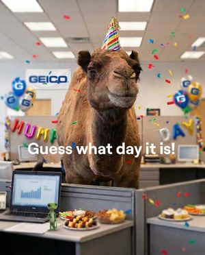 Video post by @geico on TikTok