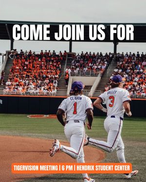 Image post by @cutigervision on Instagram