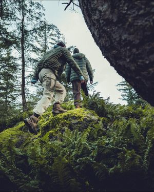 Image post by @keen on Instagram