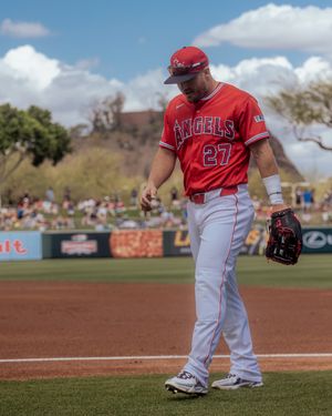 Image post by @thecactusleague on Instagram