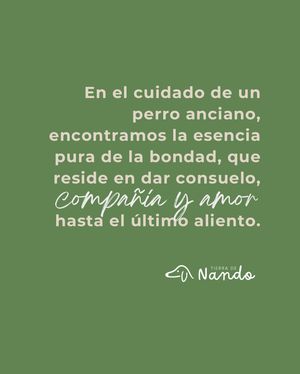 Image post by @tierradenando on Instagram