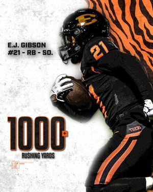 Image post by @EnsworthFB on Twitter