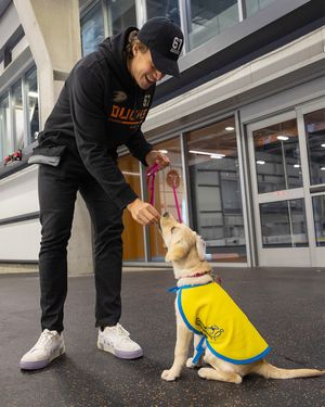 Image post by @anaheimducks on Instagram