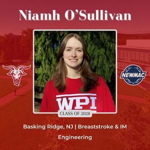 Image post by @wpiswimdive on Instagram