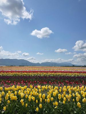 Image post by @tourismabbotsford on Instagram