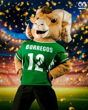 Image post by @borregostec on Instagram