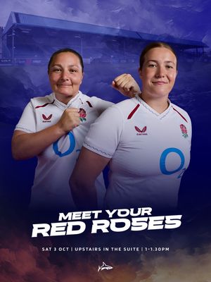 Image post by @salesharkswomen on Instagram
