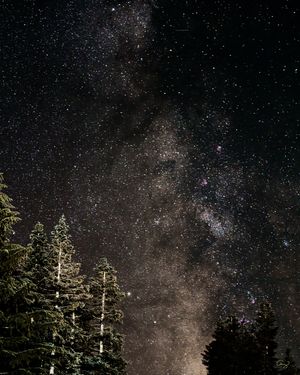 Image post by @amy.kennedy.photos on Instagram