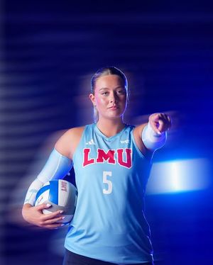 Image post by @lmulionswvb on Instagram