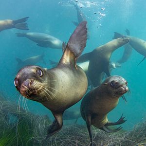 Image post by @discovery on Instagram