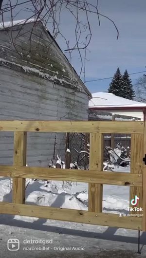 Video post by @DetroitGSD on Facebook