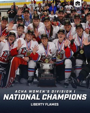 Image post by @hockeyhousepod on Instagram