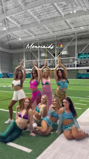 Video post by @dolphinscheer on TikTok