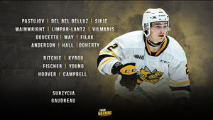 Image post by @StingHockey on Twitter