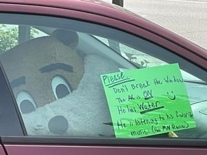 Image post by @goldythegopher on Instagram