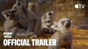 Video post by @appletv on YouTube