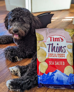 Image post by @timscascadesnacks on Instagram