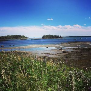 Image post by @themainemag on Instagram