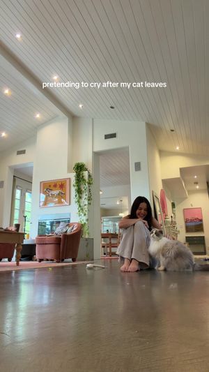 Video post by @lyssielooloo on TikTok