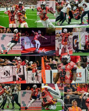 Image post by @jaxsharks on Instagram