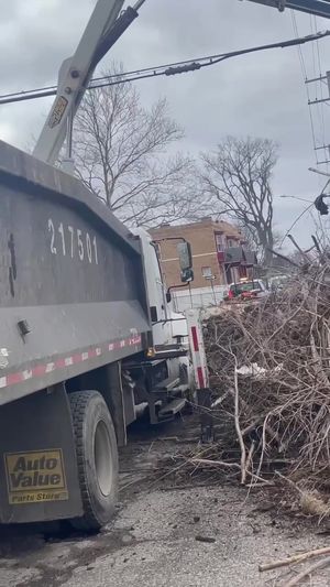Video post by @DetroitGSD on Facebook