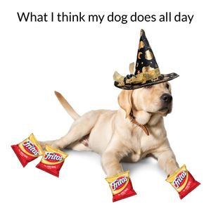 Image post by @mybenebone on Instagram