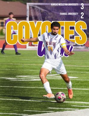 Image post by @kwucoyotes on Instagram