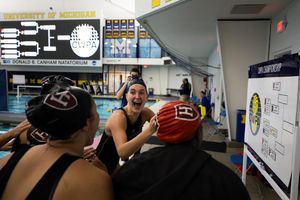 Image post by @harvardwopo on Instagram