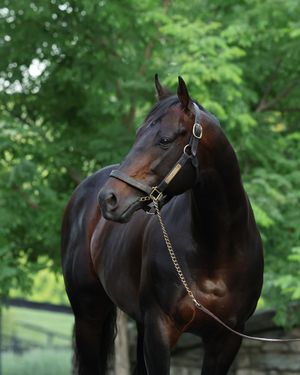 Image post by @coolmoreamerica on Instagram