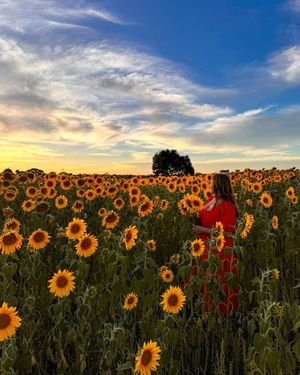 Image post by @visitmelbourne on Instagram