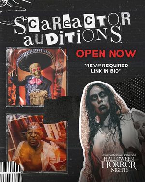 Image post by @lifeatush on Instagram