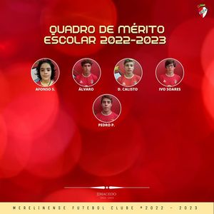 Image post by @merelinenseFC on Facebook