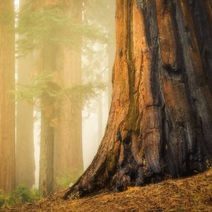Image post by @nationalparkscollective on Instagram
