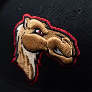 Image post by @greatlakesloons on Instagram