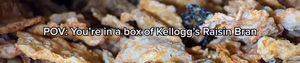 Video post by @KelloggsRaisinBran on Facebook
