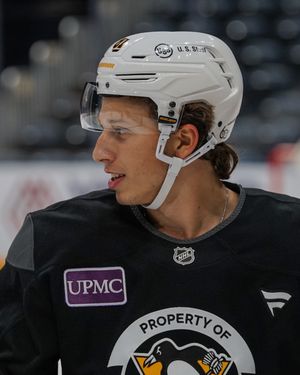 Image post by @penguins on Instagram