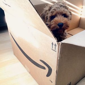 Image post by @amazon on Instagram