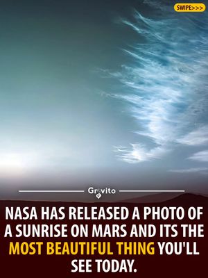 Image post by @gravitonomy on Instagram