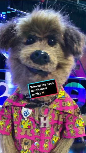 Video post by @cbbc on TikTok