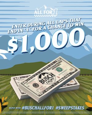 Image post by @BuschBeer on Twitter
