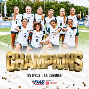 Image post by @nflflag on Instagram