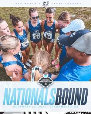 Image post by @nsu_xctf on Instagram