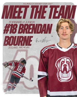 Image post by @aquinasd1hockey on Instagram
