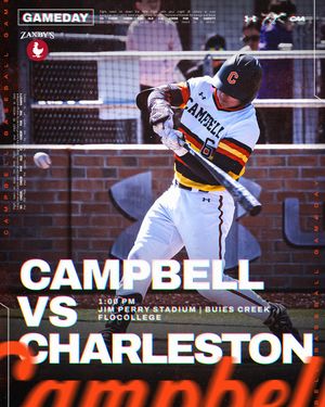 Image post by @gocamelsbsb on Instagram