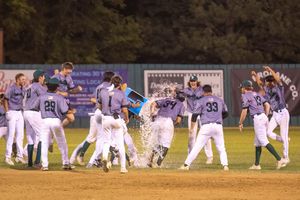 Image post by @lizagazaryanphotography on Instagram