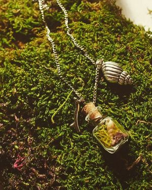 Image post by @leafyaffair on Instagram