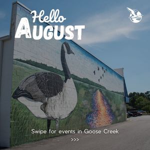 Image post by @cityofgoosecreek on Instagram